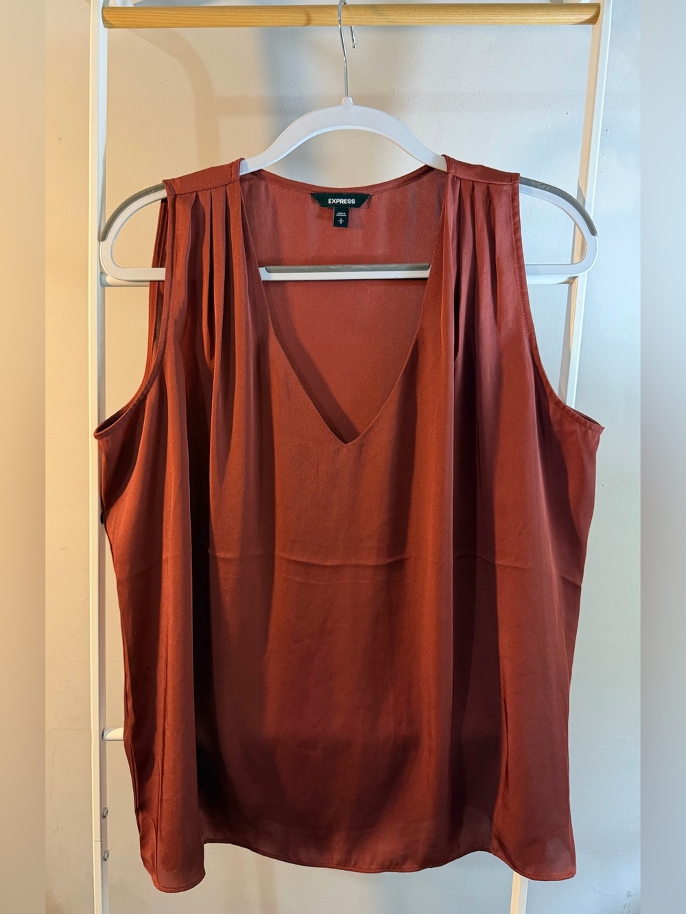 Express V-Neck Sleeveless Blouse in Rust